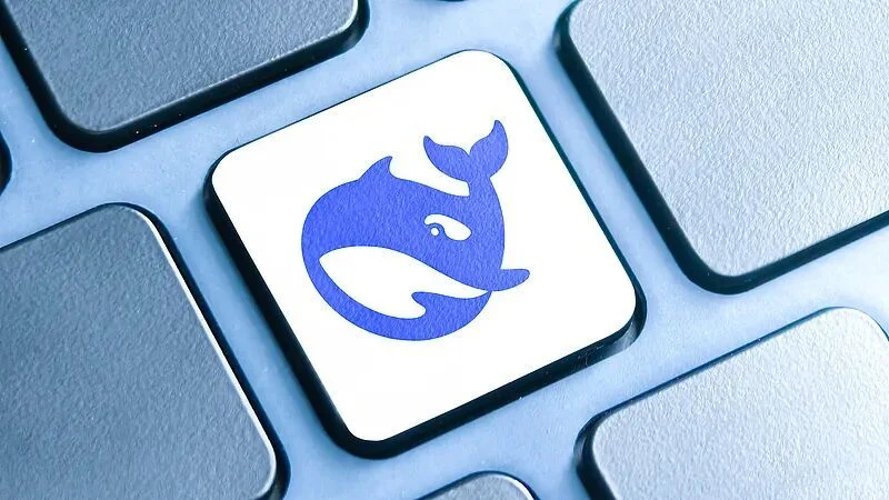 DeepSeek 全尺寸开源生态